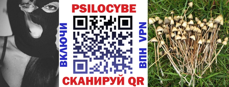Псилоцибиновые грибы Psilocybe  Купить где  Старая Купавна 